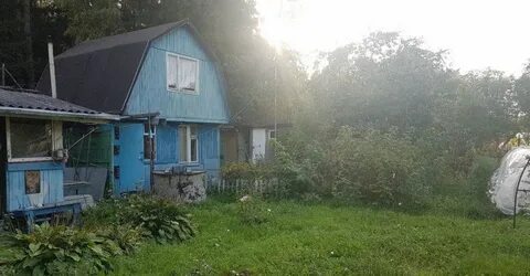 Фрязино дачная