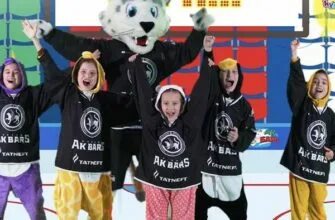 Блоггер барс. Блоггер барс