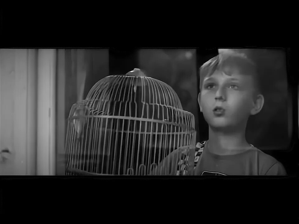 Мальчик и птица оскар. Мальчик и птица. Мальчик-птица (2011). Ваня мальчик птица. Ваня, мальчик-птица (Россия, 2008 год)..