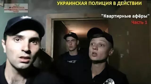 Коллекторы полиция. Коллекторы полиция
