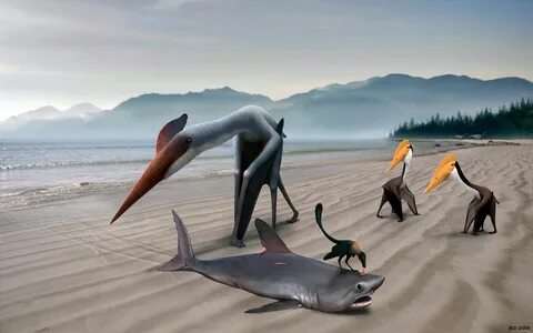 As we walked around the prehistoric