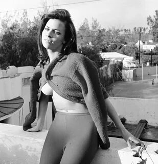 Slideshow 1960s titties.