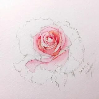 Как нарисовать розу акварелью