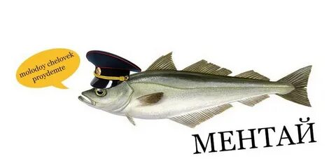 Ментай
