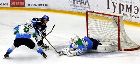 Лев буран