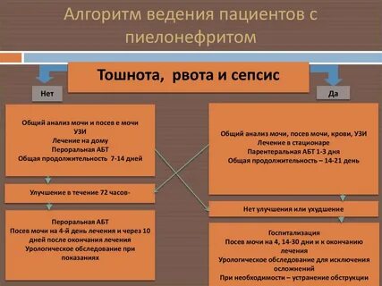 Помощь при пиелонефрите