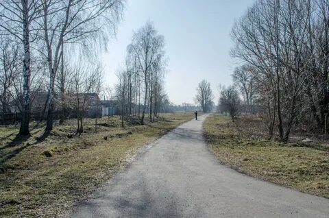 Село шевченко