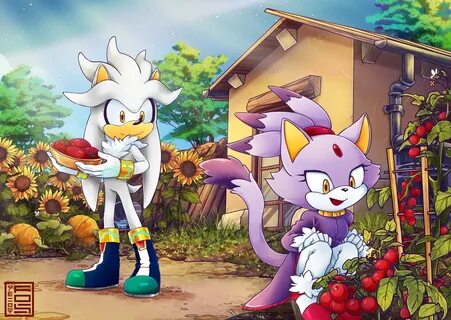 blaze the cat, silver the hedgehog, sonic, sonic the hedgehog, sega, paramo...