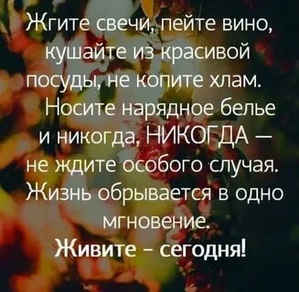 Жизнь особый случай