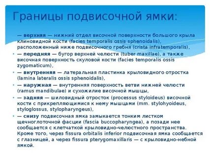 Какие отверстия открываются в подвисочную ямку