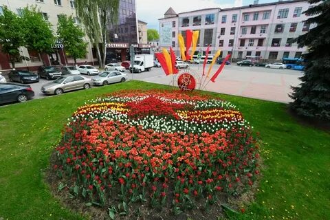 Город цветом брянск