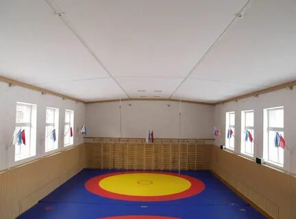 Потолки в спортивных залах