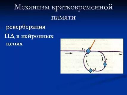 Механизм кратковременной памяти