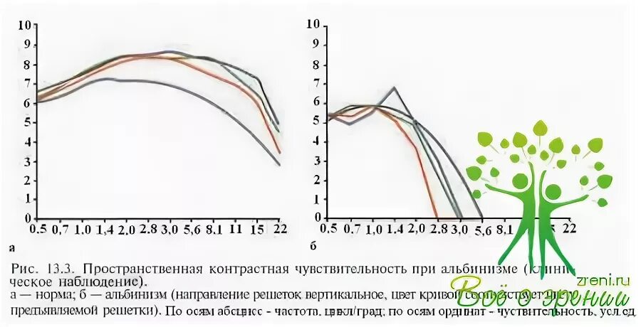 Контрастная чувствительность это функция анализатора