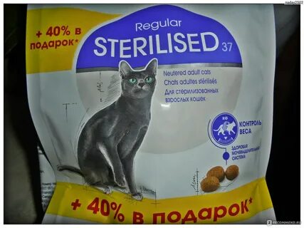Корм для кошек роял канин отзывы
