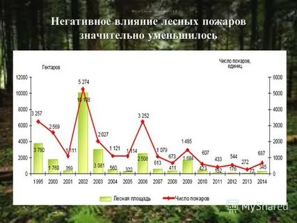 Курс 04.07
