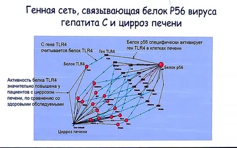 Сеть объяснение