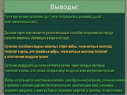 Дыхание животных 6