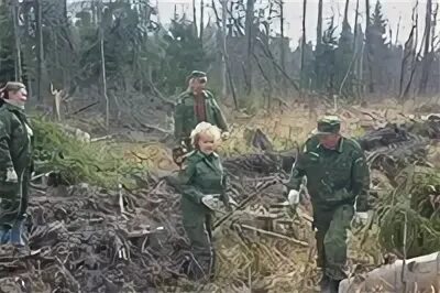 Расписание сиверская лесничество сегодня