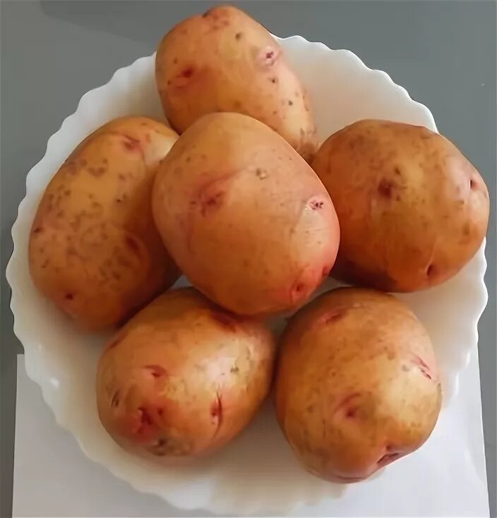 Сорт жуковский. Сорт картофеля жуковский. картофель жуковский ранний. сорт картофеля жуковский ранний.