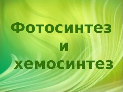 Хемосинтез энергия