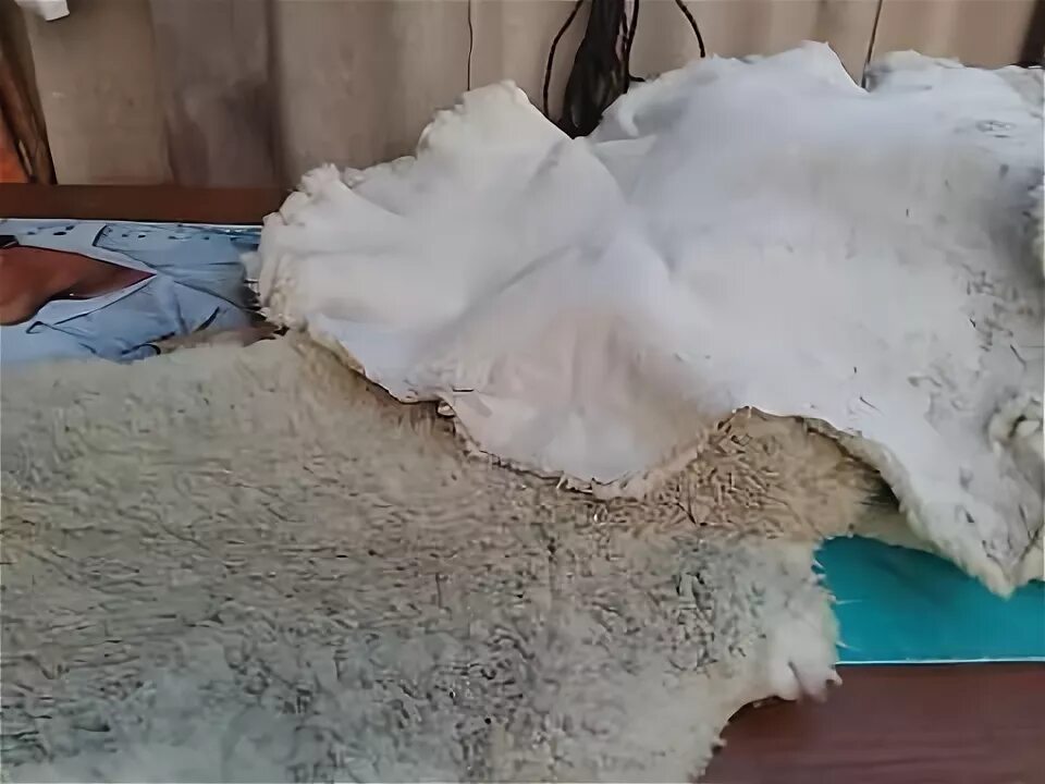 Отбеливатель для искусственного меха. Запах овчины. Шкура овчина. Щетка для овечьей шерсти. Овечья шкура.