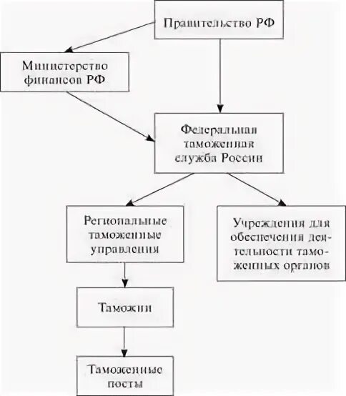 Таможенные органы в уголовном процессе