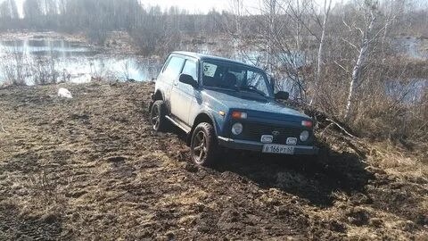 Погода в ниве