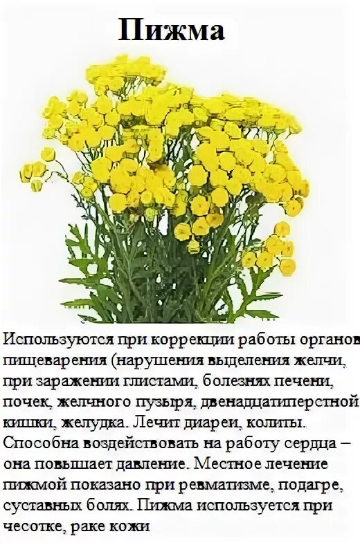 Гөлбадран ярдәм итәр