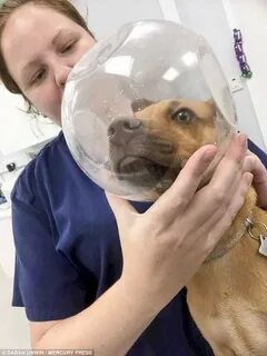 Head stuck