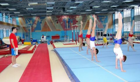 Спортивная гимнастика физическая подготовка