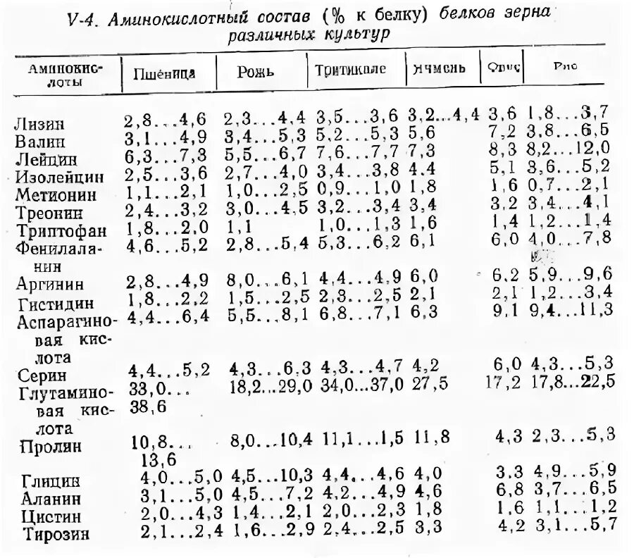 Пшеница состав белки