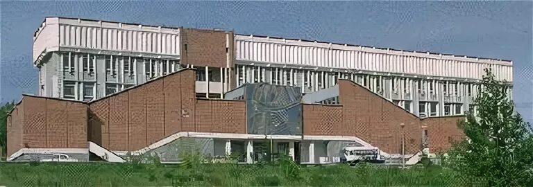 Ран полностью