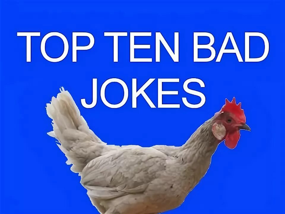 Bad Bad jokes. Bad joke. Bad__joke cam. My Anti jokes logo. Bad jokes