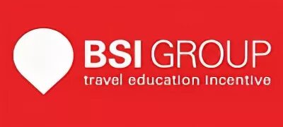 BSI Group. BSI Group логотип. BSI Group книга. BSI Group фанерное оборудование. Сайт би групп