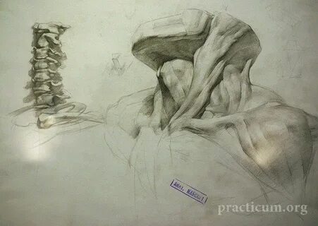 Practicum