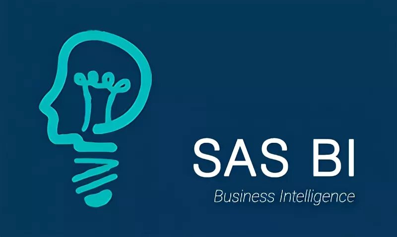 Https obmenvsem net. SAS компания. SAS Business Intelligence. SAS логотип. Bisness SAS.