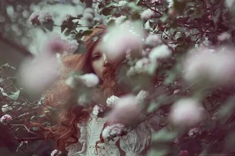 Hiding beauty