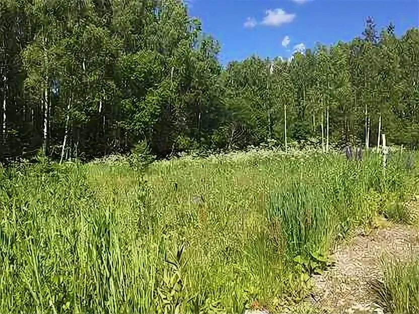 Снт шелухово нижегородская область