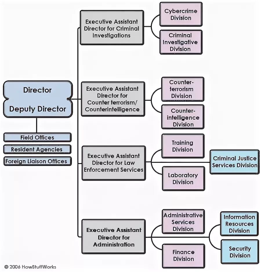 Схема структуры фбр(fbi). Схема структуры фбр(fbi). Иерархия fbi. Структура фбр. Структура фбр сша.