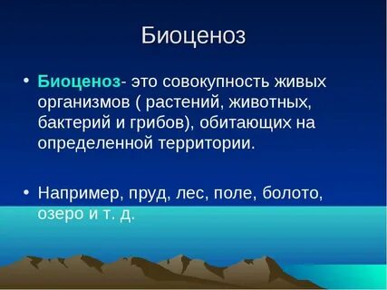 Совокупность всех растительных организмов