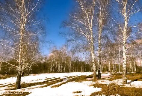 Только в весеннем лесу начинаешь понимать