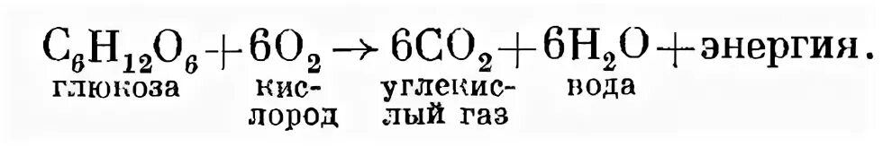 Окисление глюкозы кислородом