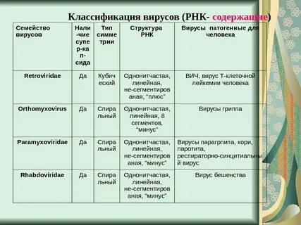 Семейства вирусов