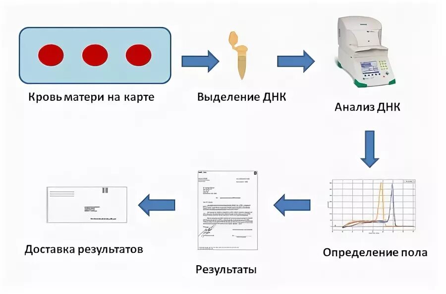 Пол по крови матери анализ. Анализ на определение пола. Анализ на определение пола ребенка. Анализ на определение пола ребенка по крови. Анализ ДНК на пол ребенка.