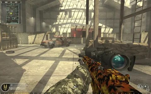 Autumn camo mw2