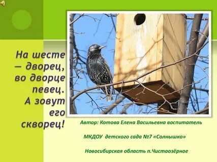 Загадка про скворца