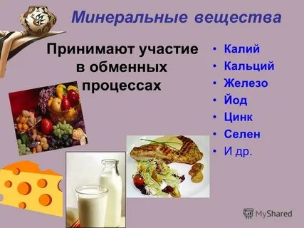 Минеральные вещества участвуют