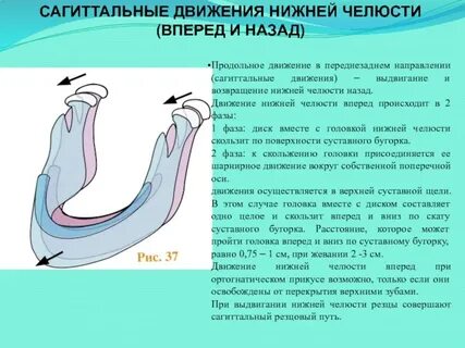 Какие движения происходят