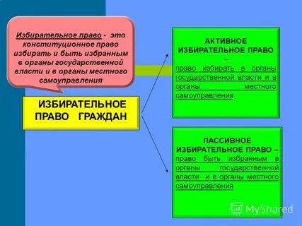 Избирательное право обществознание 9 класс
